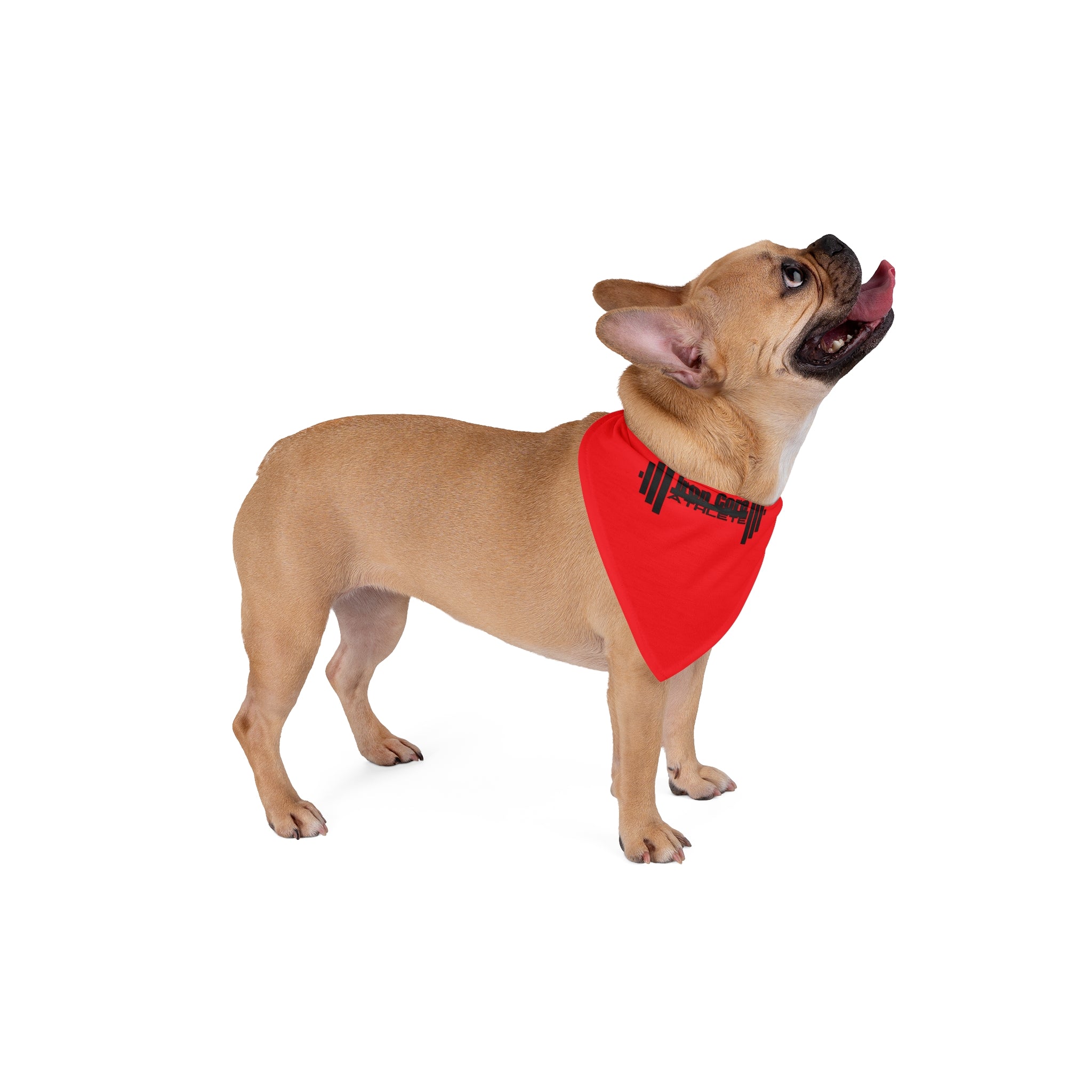 Iron Core Pet Bandana